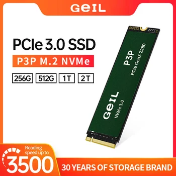 GeIL Föstu formi Diskur P3P M 2 SSD 256GB 512gb 1T 2t Innri Föstu formi Aka M. 2 NVME 1.4 PCIe 3.0 Gen3 2280 M 2 Fyrir Fartölvu